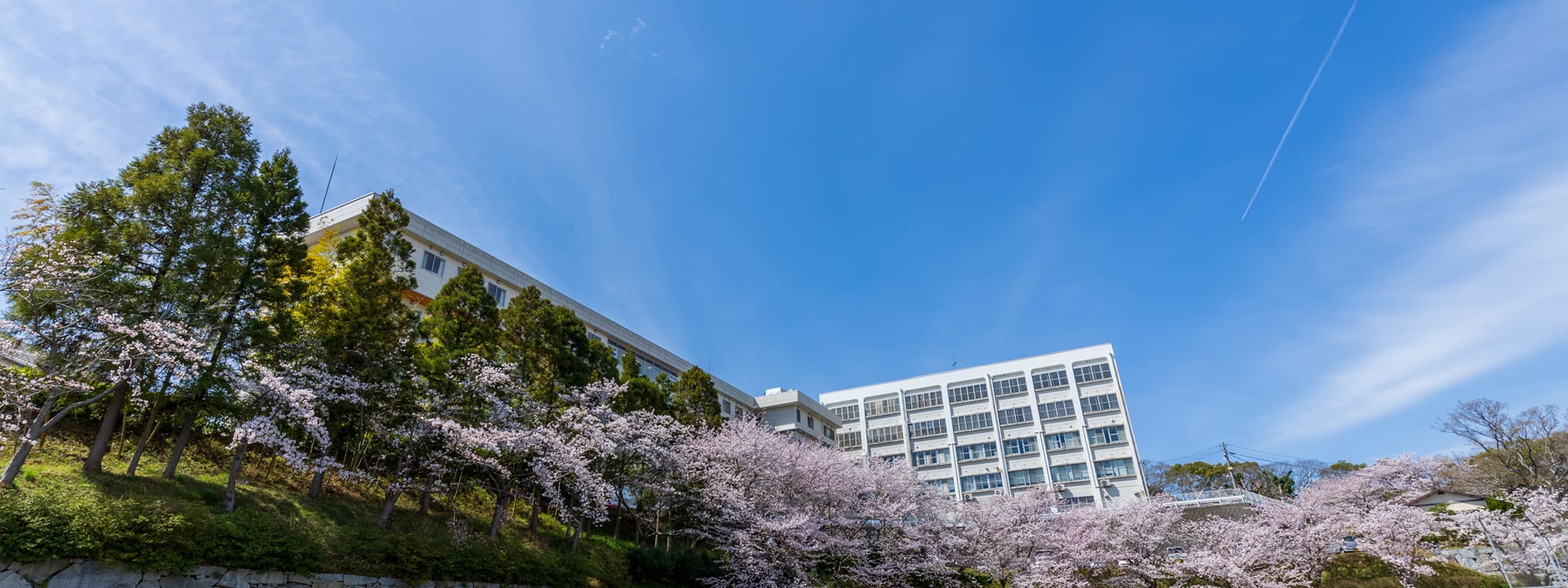 VOICE vol.16 医療法人社団 光風会 三光病院